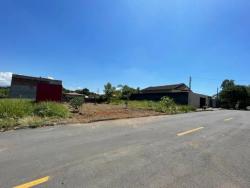 #PINDA86 - Terreno para Venda em Pindamonhangaba - SP - 3